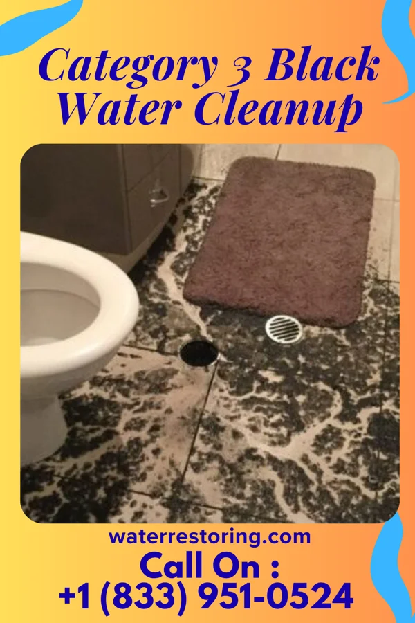 Category 3 Black Water Cleanup in Shippensburg, PA