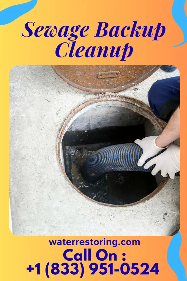 Sewage Backup Cleanup in Shippensburg, PA